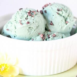 Vegan Mint Icecream with Spirulina